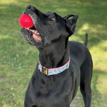 Pink Flamingo Dog Collar, Girl, Female, Summer Dog Collar, Cute Dog Collars, Personalized, Laser Engraved, Customized, Pink, Blue