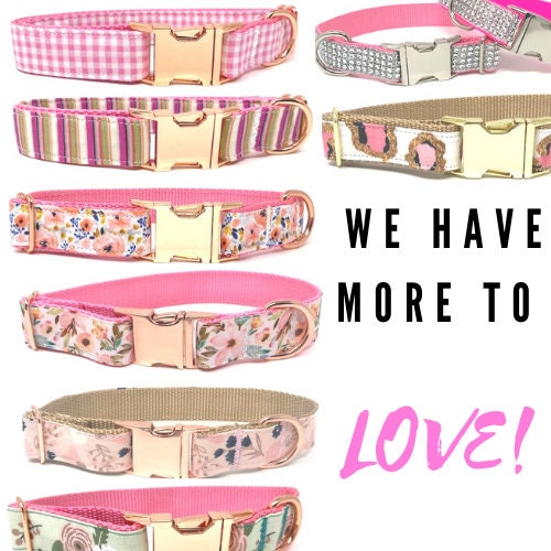 Floral, Dog Collar, For Girls, Pink, Rose Gold, Blush, Female, Fashion, Personalized, Engraved, Cat Collar, Fancy, Custom Dog Collar, Pet