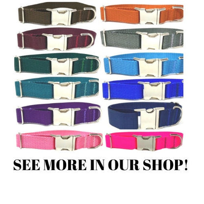 Personalized Dog Collars, Blue, Puppy Collar, Boy, Males, Laser Engraved, Custom, Silver, Gold, Dog ID Tag, Small, Designer, Cute, Nylon