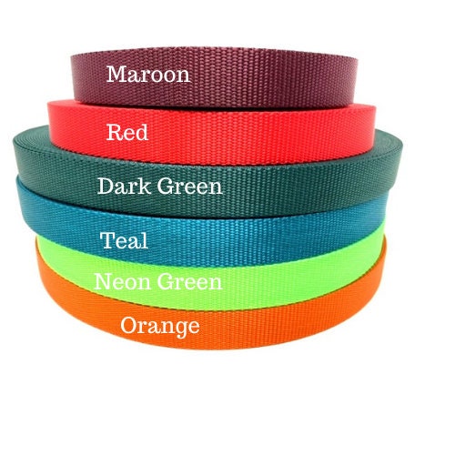 Dog Leash, 19 Color Options, Pink, Purple, Lavender, lilac, White, Orange, Red, Blue, Green, Dog Lead, 5 Foot, Silver Hardware, Girl, Boy