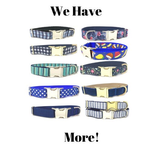 Personalized Dog Collars, Blue, Puppy Collar, Boy, Males, Laser Engraved, Custom, Silver, Gold, Dog ID Tag, Small, Designer, Cute, Nylon