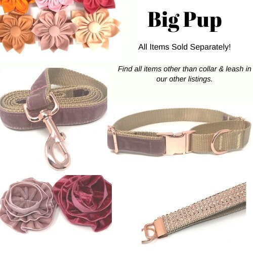Fall, Mauve, Rose Gold, Custom, Buckle Martingale Dog Collar, Girl, Personalize, Engraved, Cute, Designer, Puppy, Greyhound, Whippet, Velvet