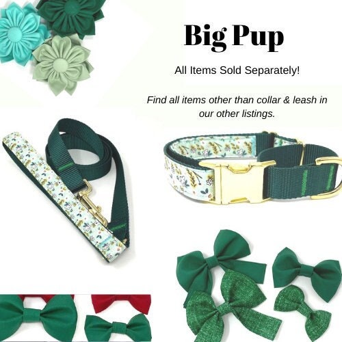 Dog Collar, Martingale Collar, Buckle, Girl, Female, Personalized, Engraved, Custom, Puppy Collar, Green, Puppy Collar, Cute, Small, Large