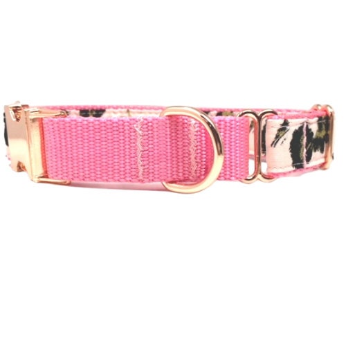 Pink Dog Collar, Leopard Print, Martingale With Buckle, Rose Gold, Gold, Black, Bling, Sparkly, Fancy, Personalized, Engraved, Customized