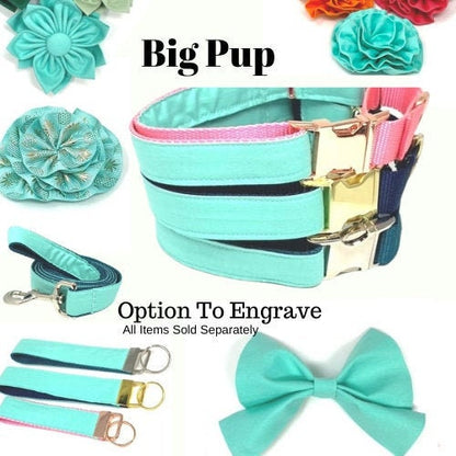Teal, Custom, Buckle Martingale Dog Collar, Solid, Boy, Girl, Big Pup Pet Fashion, Designer, Puppy, Greyhound, Whippet, Fabric, Green, Gold