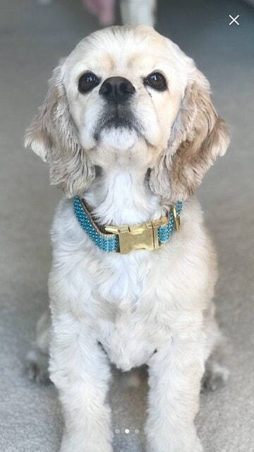 Teal + Gold Rhinestone Girl Dog Collar, Fancy, Sparkle, Bedazzled Puppy Collar, Personalized, Engraved, Custom Designer Dog Collar