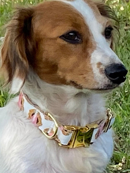 Girl Dog Collar, Leopard, Cheetah, Custom Dog Collar, Puppy Collar, Small Dog Collar, Engraved Dog Collar, Designer Dog Collar, Cute, Large