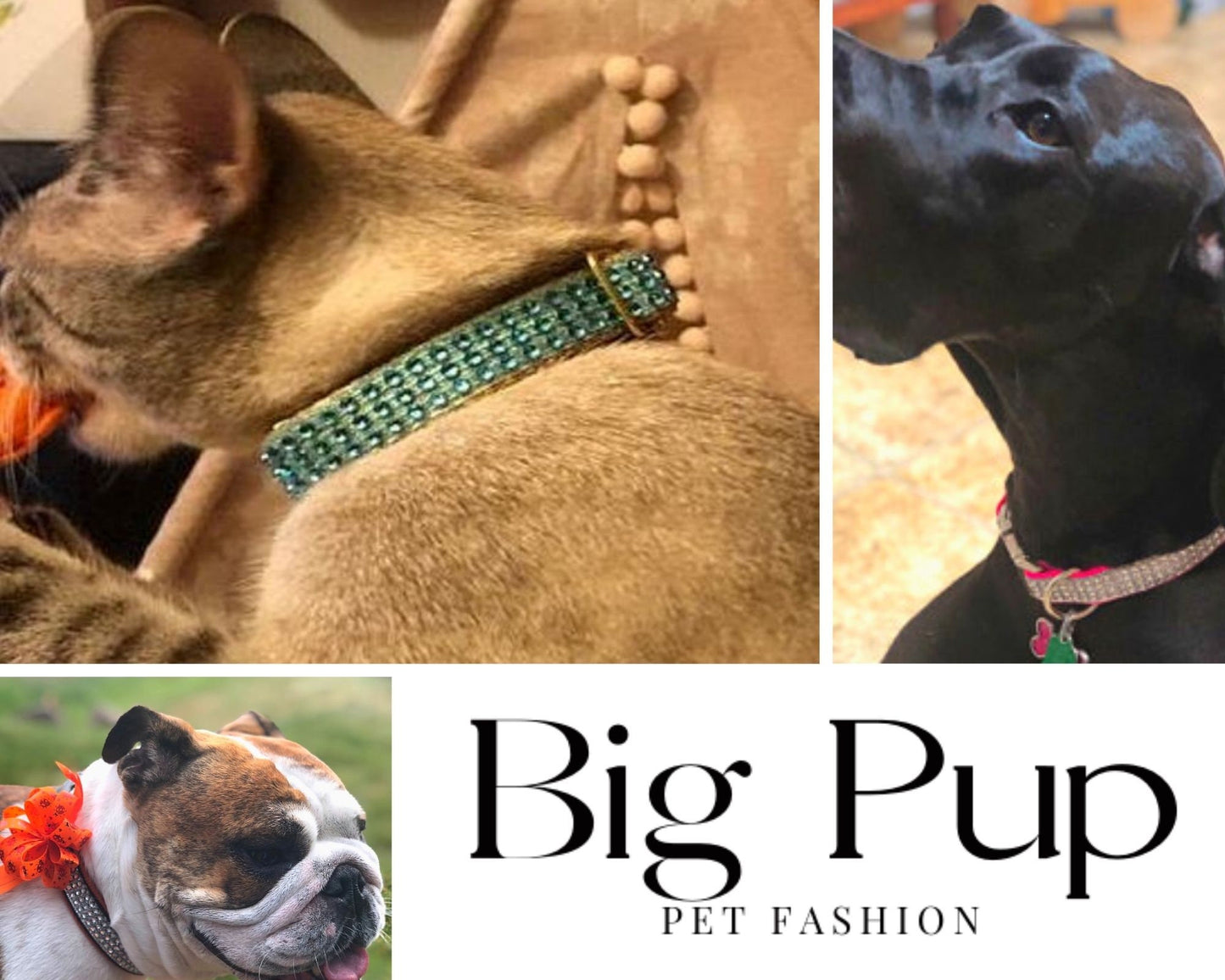 Fancy, Bling, Rhinestone, Custom, Dog Collar, Girl, Personalized, Engraved, Cute, Designer, Puppy, Cat, Pet, Small, Medium, Large, Fashion,