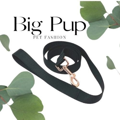 Solid Black Nylon Dog Leash With Rose Gold Metal Snaphook, For Girls, For Boys, Dog Lead, 5 Foot