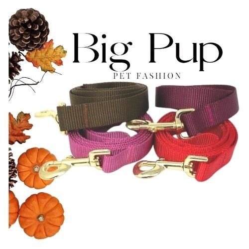Dog Leash, 19 Color Options, Pink, Purple, Lavender, Fall, White, Orange, Red, Blue, Green, Dog Lead, 5 Foot, Silver Hardware, Girl, Boy