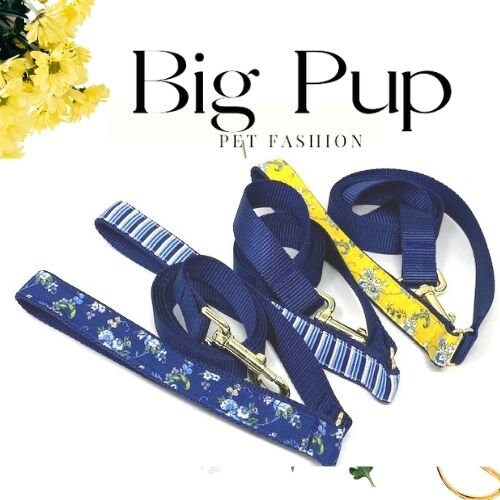 Martingale Dog Collar, Buckle, Dog Collar Girl, For Boys, Floral, Stripe, Personalized, Engraved, Gold, Blue, Yellow, Custom, Puppy, Small