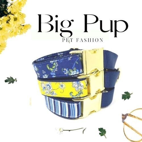 Martingale Dog Collar, Buckle, Dog Collar Girl, For Boys, Floral, Stripe, Personalized, Engraved, Gold, Blue, Yellow, Custom, Puppy, Small