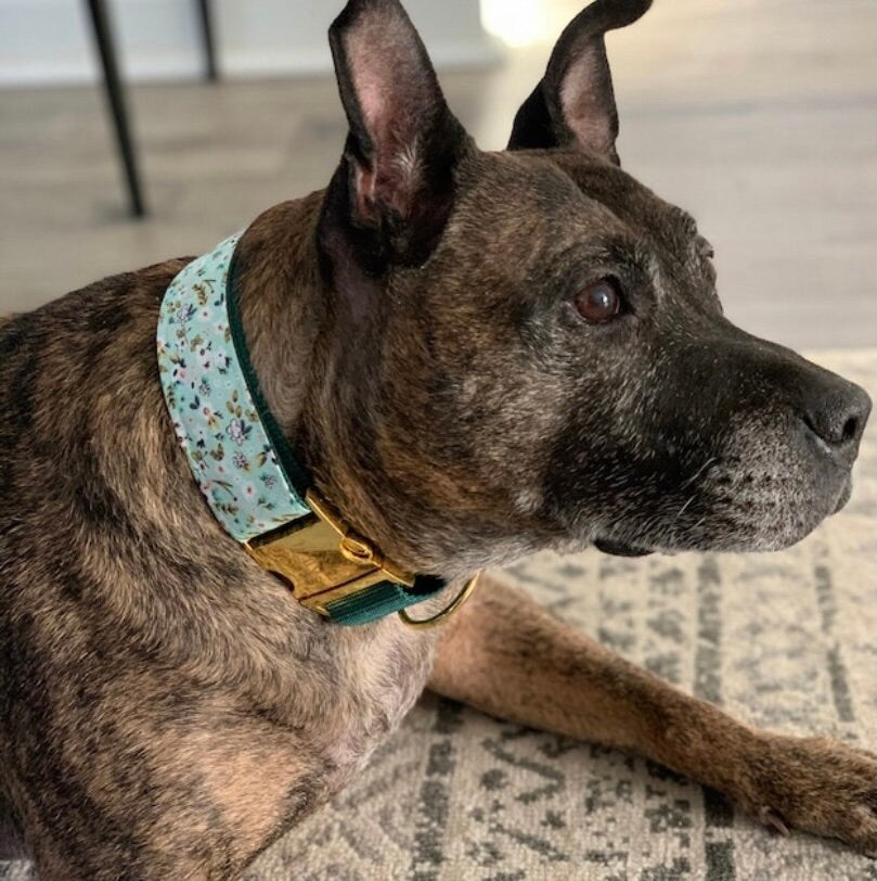 Green, Buckle Martingale Dog Collar, Boy, Girl, Floral, Plaid, Personalized, Engraved, Cute, Designer, Puppy, Greyhound, Whippet, Custom Dog