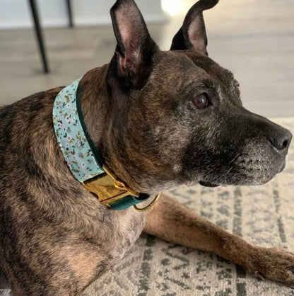 Green, Buckle Martingale Dog Collar, Boy, Girl, Floral, Plaid, Personalized, Engraved, Cute, Designer, Puppy, Greyhound, Whippet, Custom Dog