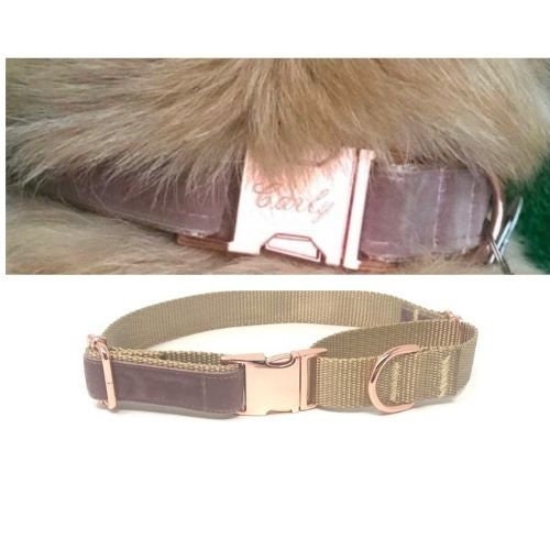 Fall, Mauve, Rose Gold, Custom, Buckle Martingale Dog Collar, Girl, Personalize, Engraved, Cute, Designer, Puppy, Greyhound, Whippet, Velvet