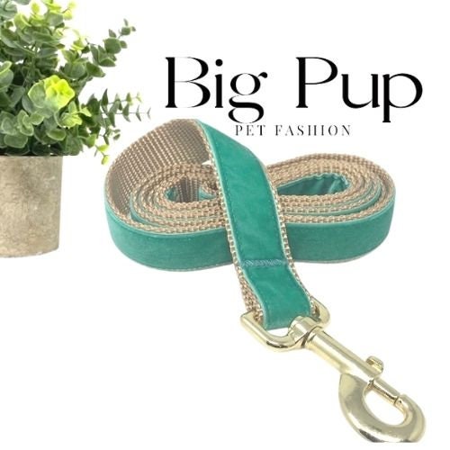 Teal, Gold, Velvet, Dog Collar, Girls, Boys, Male, Female, Aqua Collar, Personalized, Engraved, Green, Medium, Large, Extra Large, Dogs