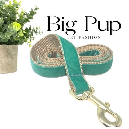 Teal, Gold, Velvet, Dog Collar, Girls, Boys, Male, Female, Aqua Collar, Personalized, Engraved, Green, Medium, Large, Extra Large, Dogs