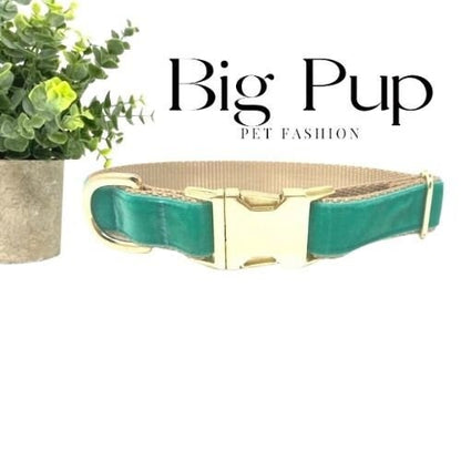 Teal, Gold, Velvet, Dog Collar, Girls, Boys, Male, Female, Aqua Collar, Personalized, Engraved, Green, Medium, Large, Extra Large, Dogs