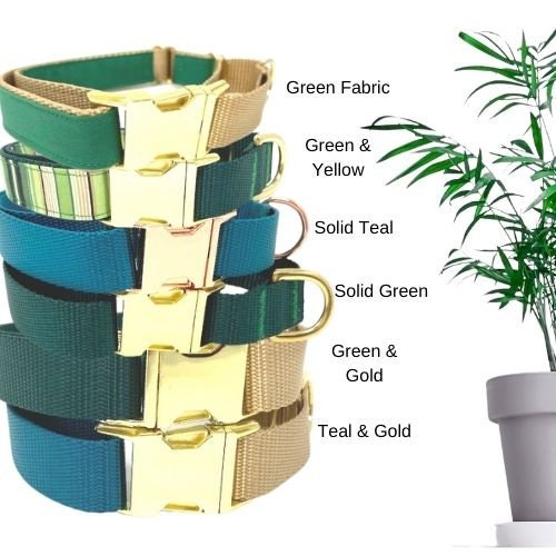 Dog Collar, Martingale Collar, Buckle, Girl, Female, Personalized, Engraved, Custom, Puppy Collar, Green, Puppy Collar, Cute, Small, Large