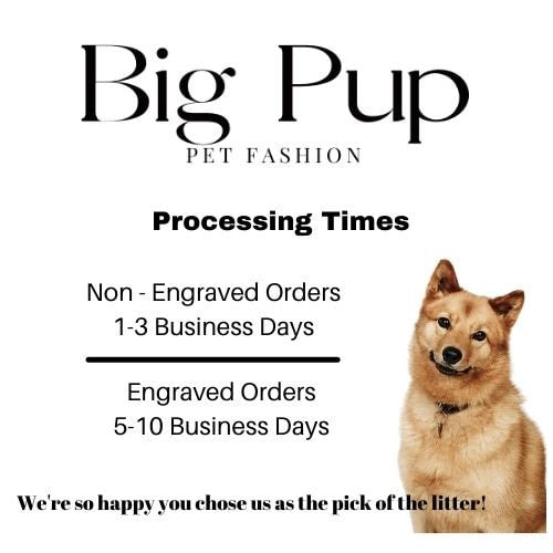 Rhinestone, Buckle, Martingale, Dog Collar, Purple, Sparkle, Bedazzled, Girl Dog, Wedding Collar, Personalized, Engraved, Custom, Boy, Girl