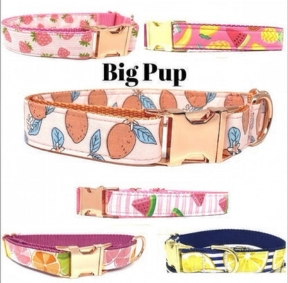Peach, Lemon, Fruit, Custom, Dog Collar, Girl, Rose Gold, Personalize, Engrave, Cute, Designer, Puppy, Cat, Pet, Small, Medium, Large,