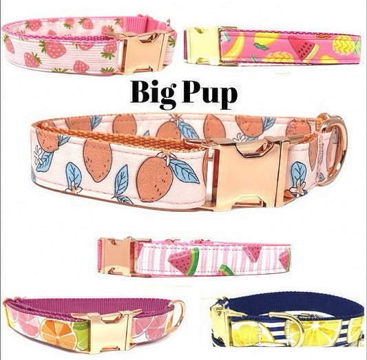 Peach, Lemon, Fruit, Custom, Dog Collar, Girl, Rose Gold, Personalize, Engrave, Cute, Designer, Puppy, Cat, Pet, Small, Medium, Large,