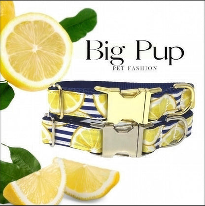 Blue + Yellow Lemon, Fruit, Custom, Dog Collar, Girl, Personalize, Engrave, Cute, Designer, Puppy, Cat, Pet, Small, Medium, Large, Fabric
