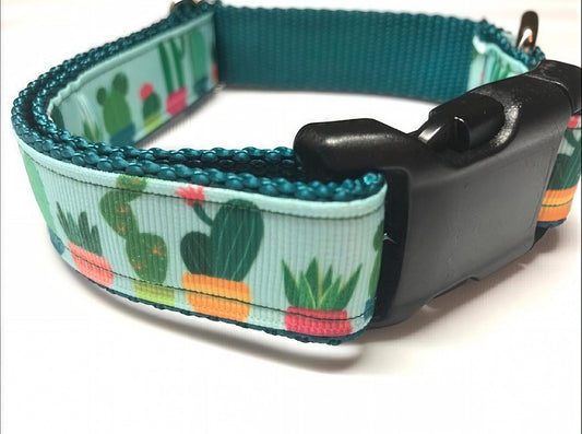 All Sizes: Cactus And Succulents Green Dog Collar in size Medium, Large, Extra Large