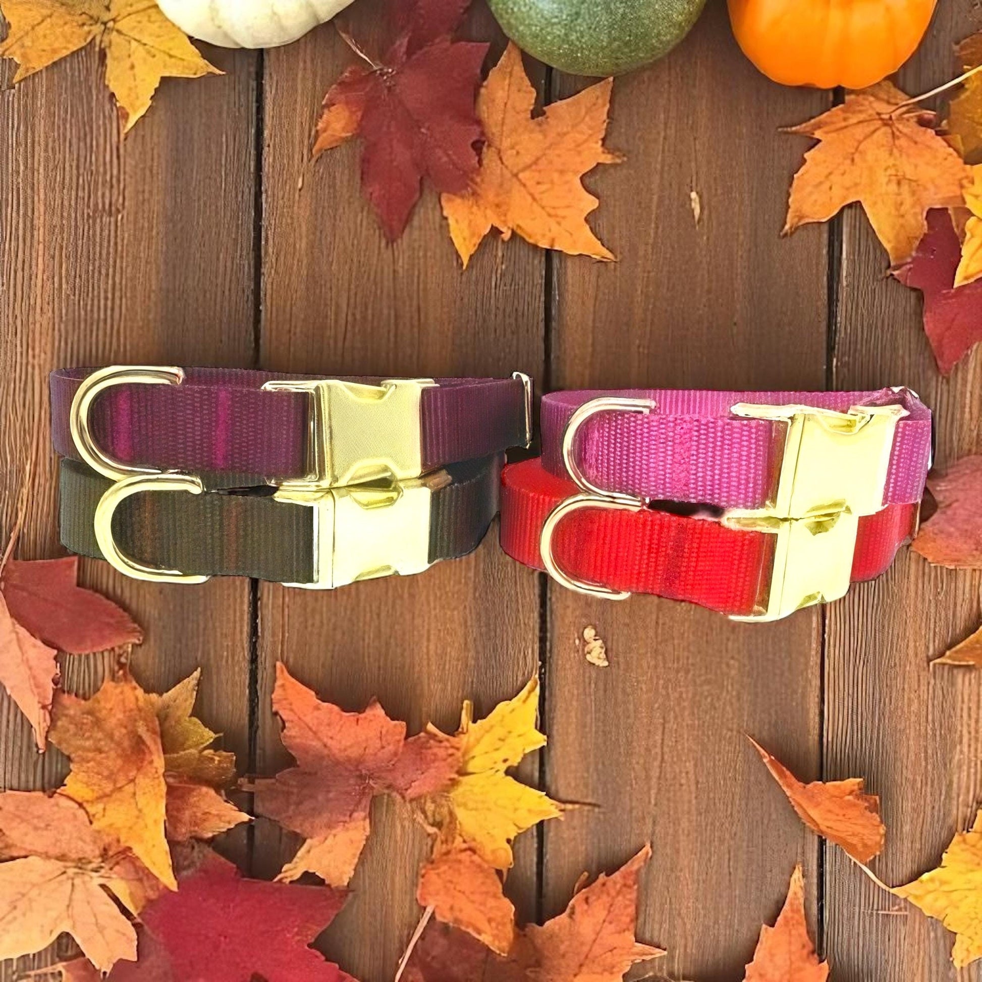 6 Colors, Nylon, Custom, Dog Collar, Girl, Boy, Personalized, Engraved, Cute, Designer, Puppy, Cat, Pet, Small, Large, Fall Dog Collar, Red