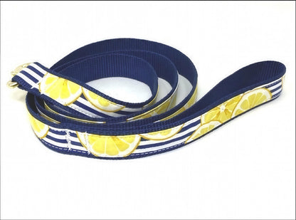 Blue + Yellow Lemon, Fruit, Custom, Dog Collar, Girl, Personalize, Engrave, Cute, Designer, Puppy, Cat, Pet, Small, Medium, Large, Fabric