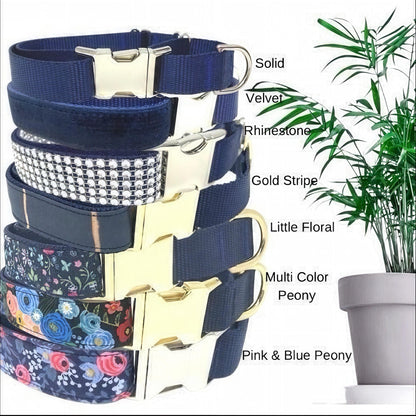 Blue Buckle Martingale Dog Collar, Girl, Boy, Cute, Designer, Puppy, Small, Large, Whippet, Greyhound, Custom, Personalized, Gold, Male, Pet