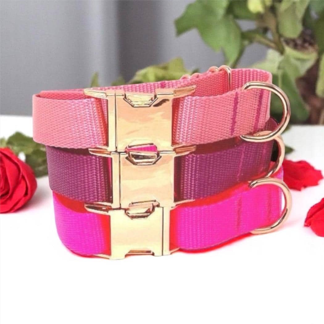 Pink, Personalized, Martingale Dog Collar, Buckle, Rose Gold, Puppy Collar, Cute Dog Collar, Designer Dog Collar, Custom, Greyhound, Engrave