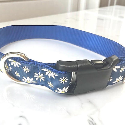 Blue, Yellow and White Floral Dog Collar, Daisies Dog Collar, Dog Collar For Girls