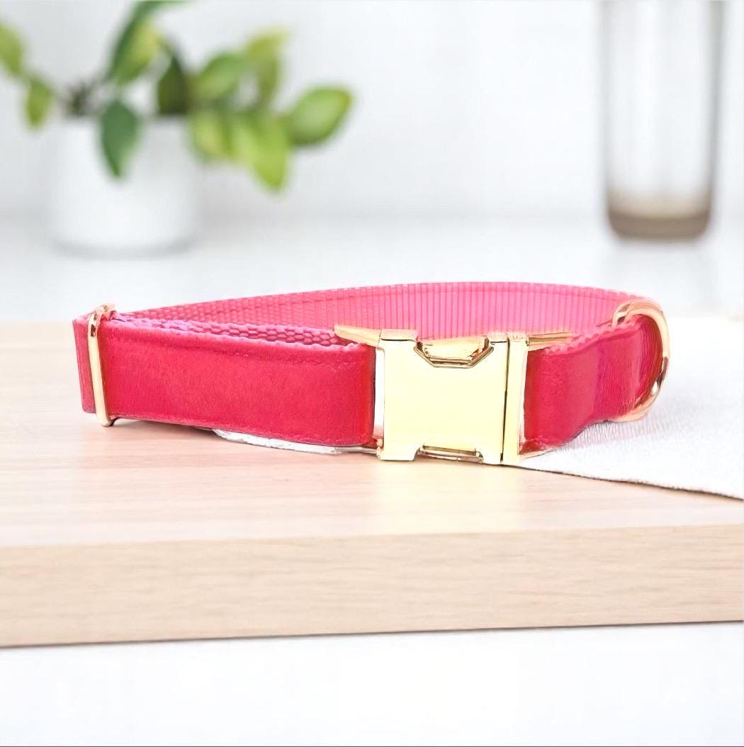 Custom Dog Collar, Pink Dog Collar, Rose Gold, For Girls, Personalized, Engraved, Puppy Collar, Large Dog Collar, Cute Dog Collar, Fabric