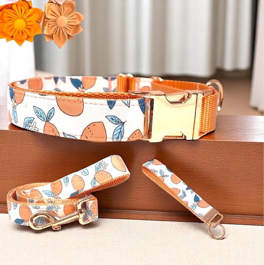 Custom, Buckle, Martingale Dog Collar, Girl, Pink, Peach, Orange, Lemon, Cute, Engraved, Personalize, Designer, Puppy, Small, Large, Fabric