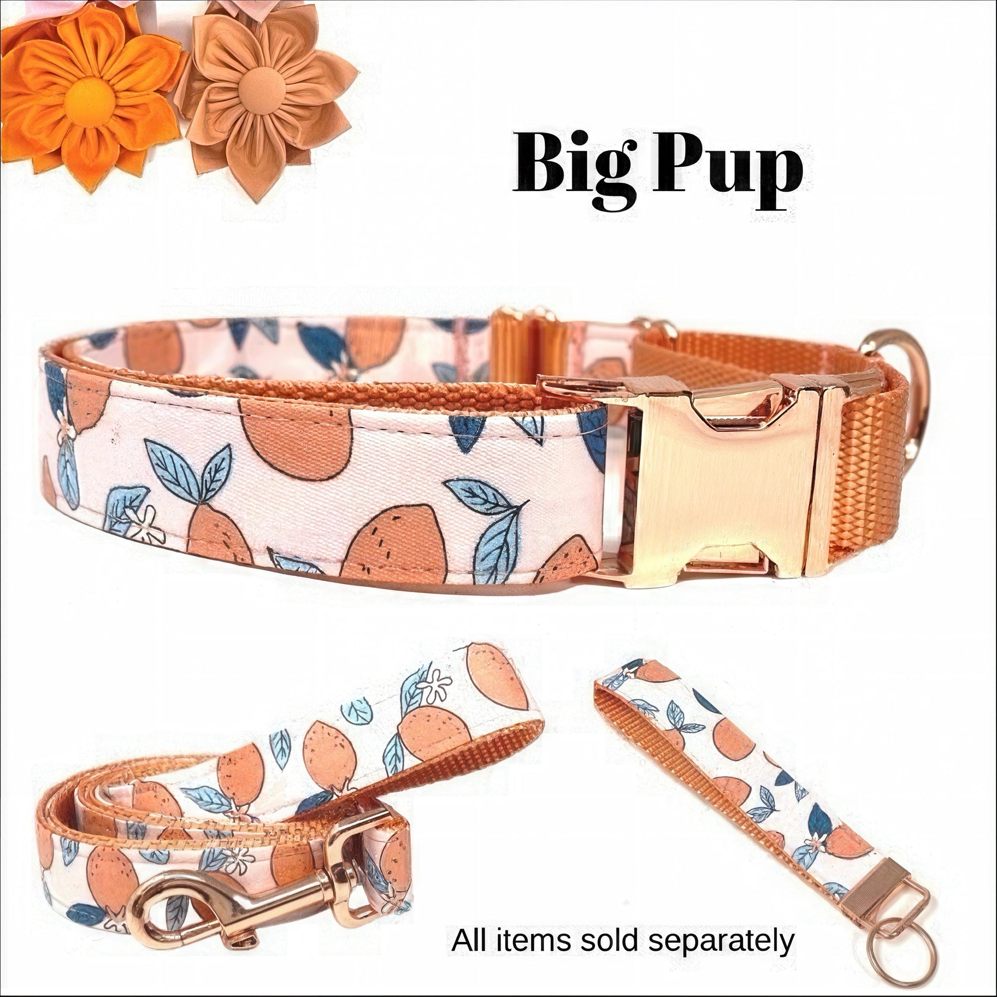 Custom, Buckle, Martingale Dog Collar, Girl, Pink, Peach, Orange, Lemon, Cute, Engraved, Personalize, Designer, Puppy, Small, Large, Fabric