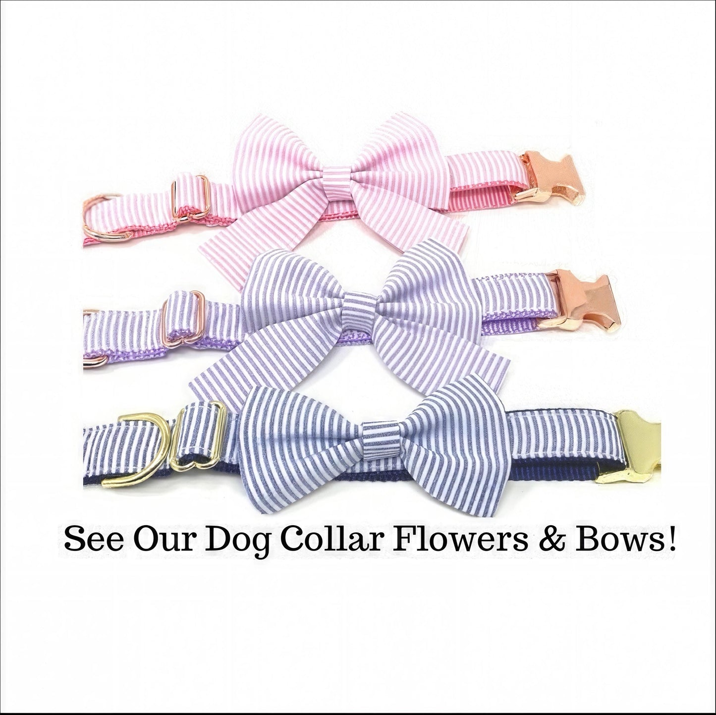 Cute, Custom, Buckle Martingale Dog Collar, Purple, Stripe, Seersucker, Girl, Big Pup Pet Fashion, Designer, Puppy, Greyhound, Whippet,