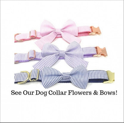 Cute, Custom, Buckle Martingale Dog Collar, Purple, Stripe, Seersucker, Girl, Big Pup Pet Fashion, Designer, Puppy, Greyhound, Whippet,