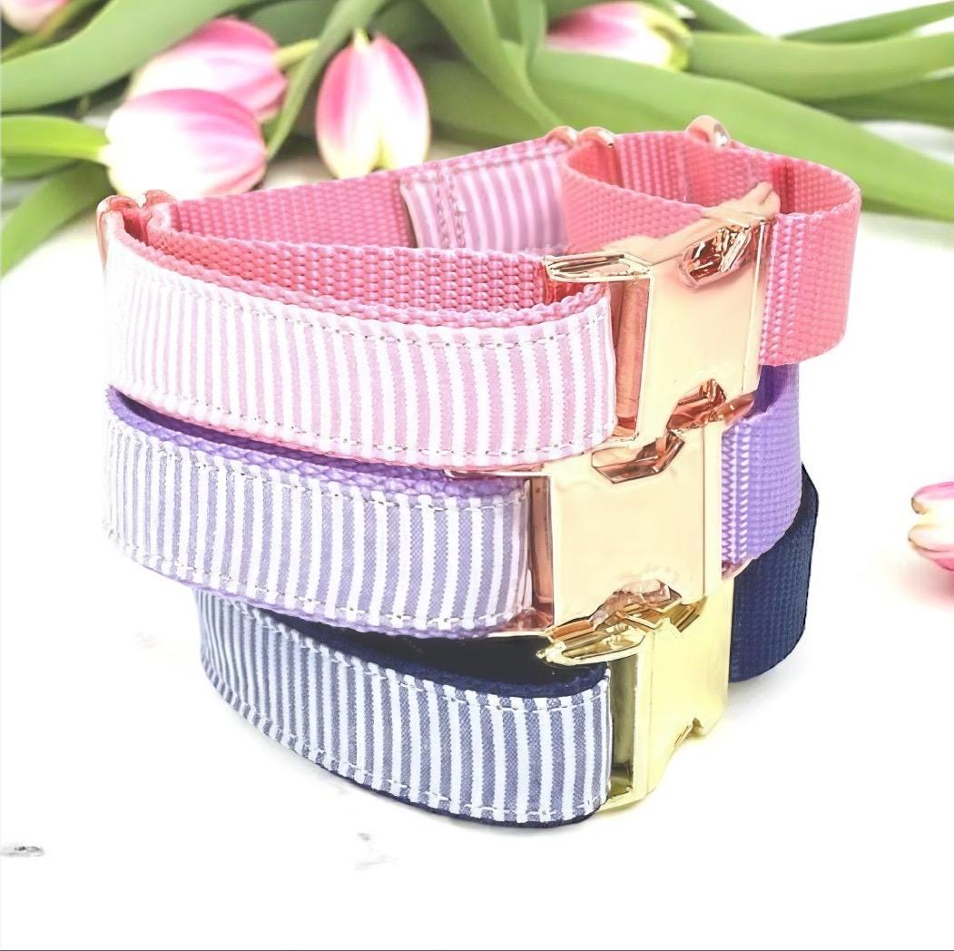 Cute, Custom, Buckle Martingale Dog Collar, Purple, Stripe, Seersucker, Girl, Big Pup Pet Fashion, Designer, Puppy, Greyhound, Whippet,