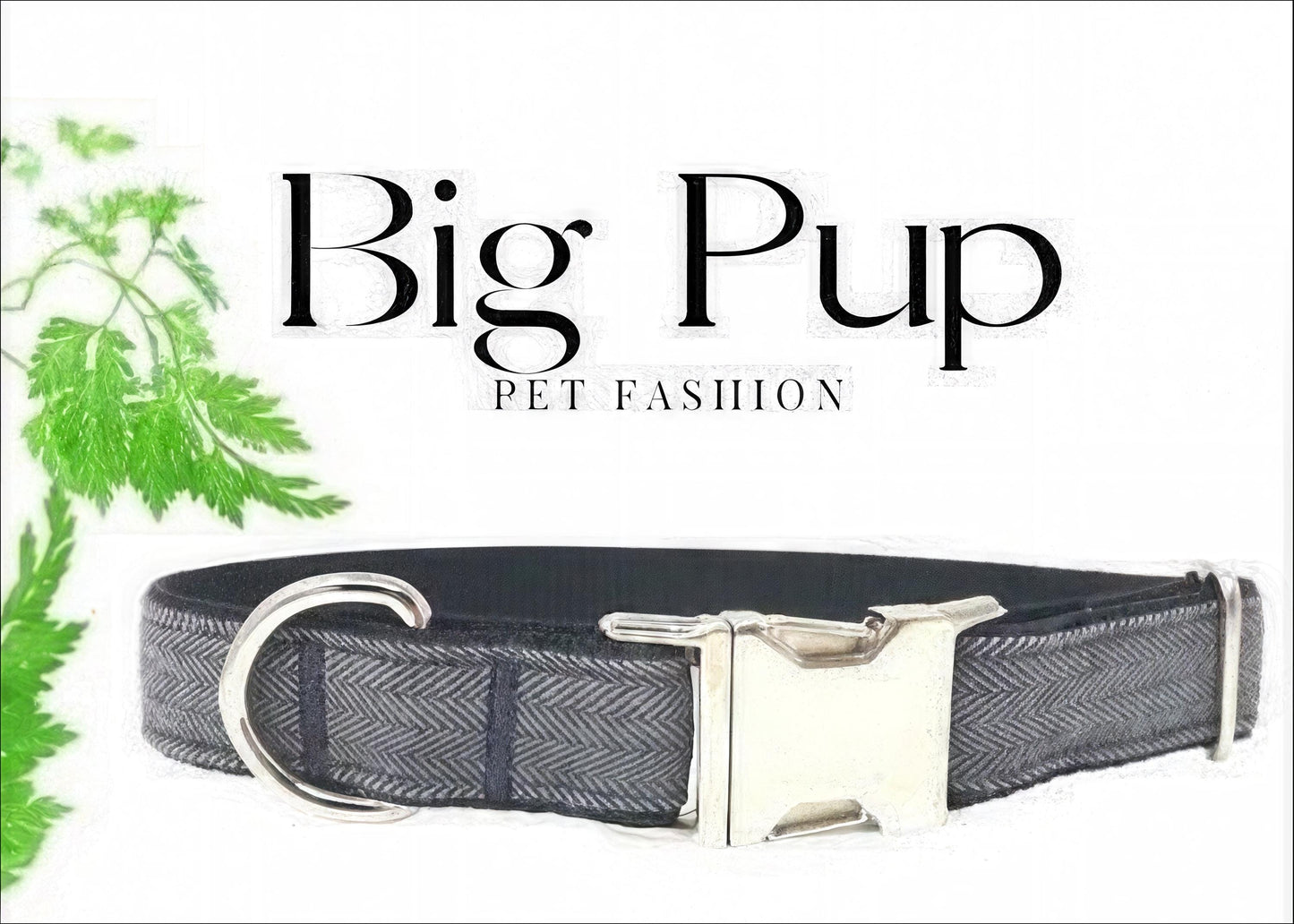 Dog Collar Boy, Grey, Collars, Custom Dog Collar, Small Dog Collar, Engraved Dog Collar, Designer Dog Collar, Large Dog Collar, Personalized