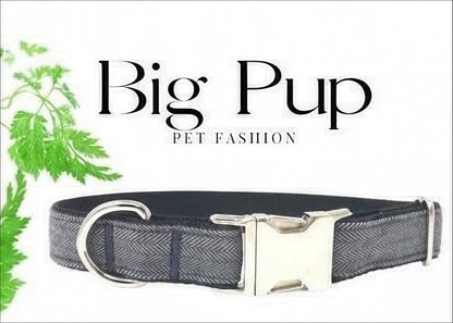 Dog Collar Boy, Grey, Collars, Custom Dog Collar, Small Dog Collar, Engraved Dog Collar, Designer Dog Collar, Large Dog Collar, Personalized