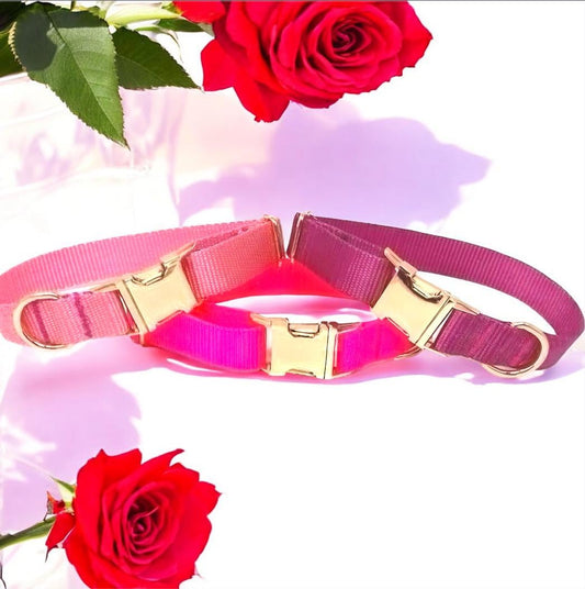 Dog Collar Girly, Light Pink, Hot Pink, Raspberry, Female, Puppy, Pet Collar, Personalized, Engraved, Small, Large, Custom Dog Collar, Cat