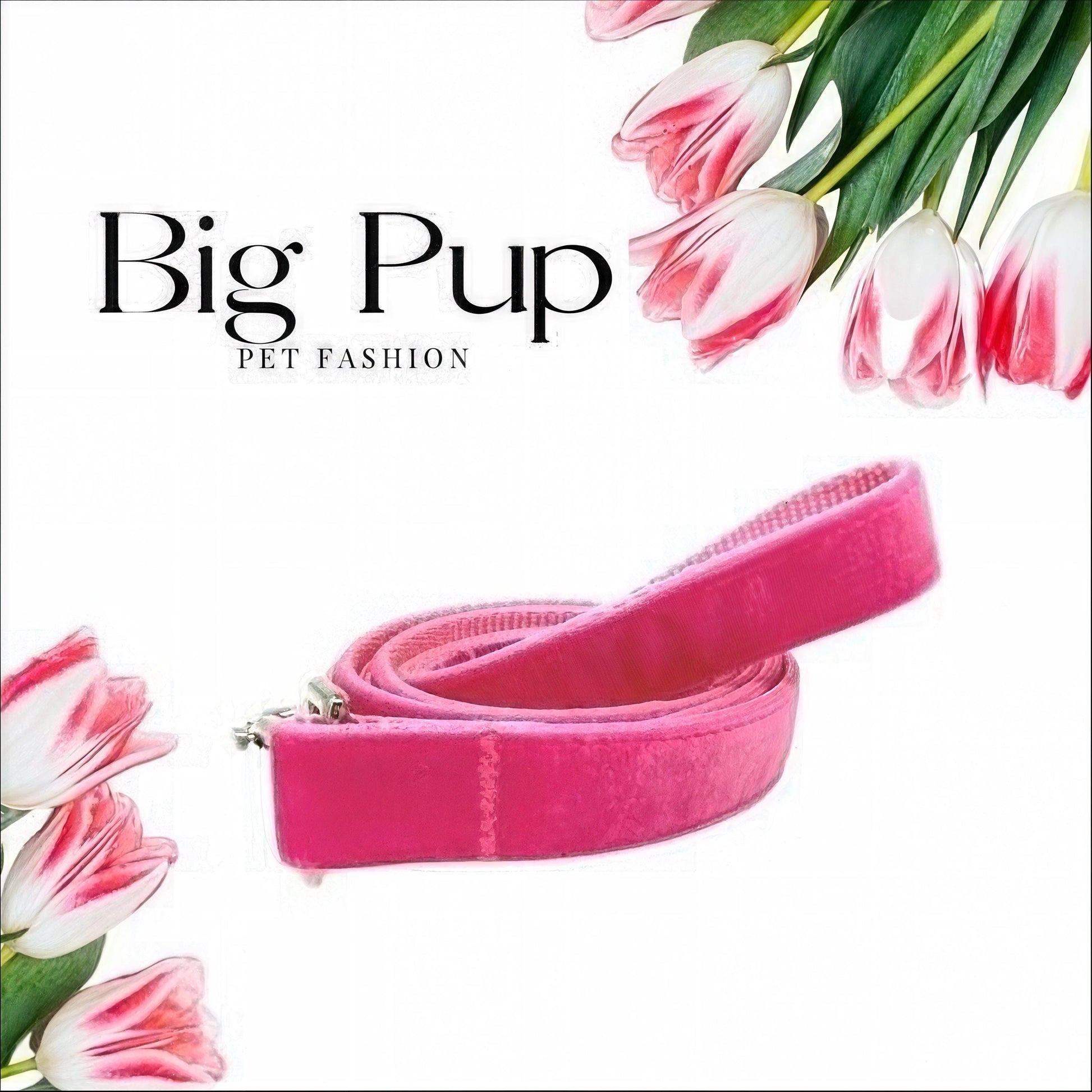 Dog Leash, Hot Pink, Velvet, Girls, Boys, Male, Female, Aqua, Jade, Green, 5 foot, medium, large, extra large dogs