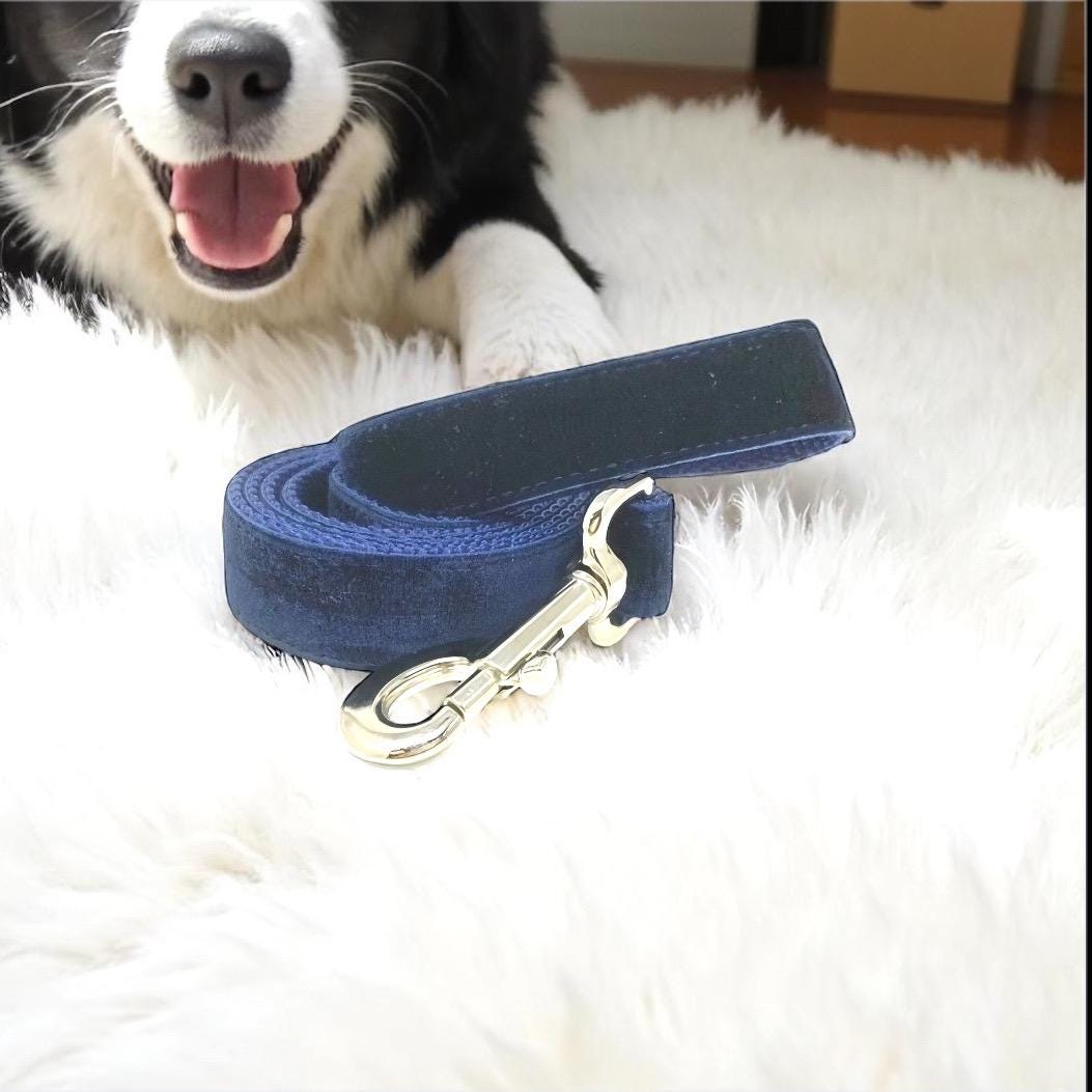 Dog Leash, Navy Blue, Velvet, Girls, Boys, Male, Female, Aqua, Jade, Green, 5 foot, medium, large, extra large dogs, male, boy