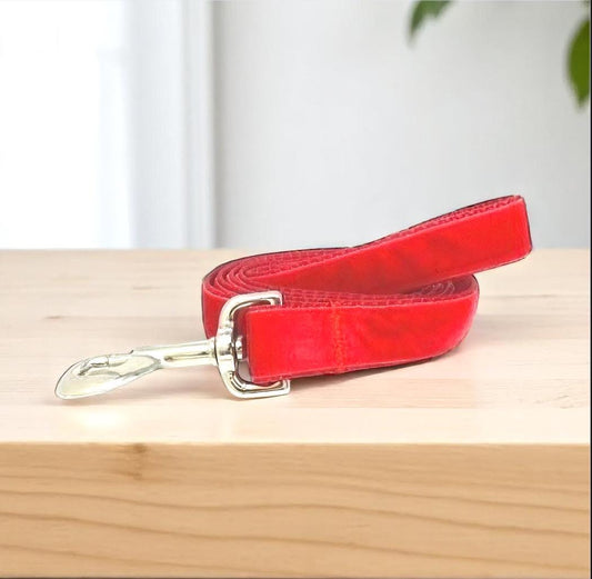Dog Leash, Red, Velvet, Girls, Boys, Male, Female, Aqua, Jade, Green, 5 foot, medium, large, extra large dogs