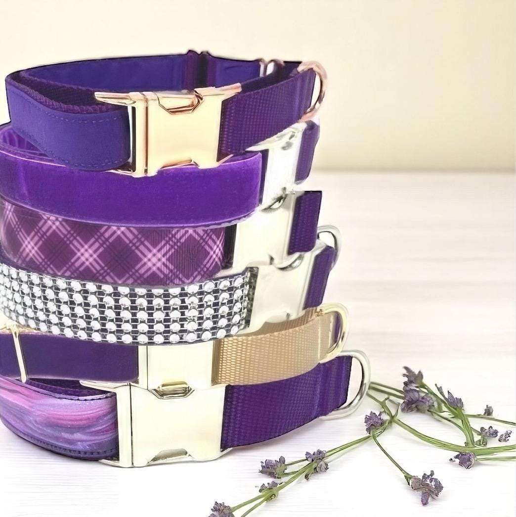 Purple, Buckle Martingale Dog Collar, Greyhound, Whippet, Floral, Girl, Personalize, Custom, Engrave, Puppy Collar, Velvet, Plaid, Rhineston