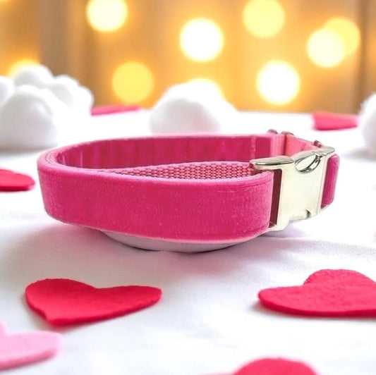 Fall, Hot Pink, Custom, Dog Collar, Girl, Personalized, Engraved, Cute, Designer, Puppy, Cat, Pet, Small, Medium, Large, Buckle