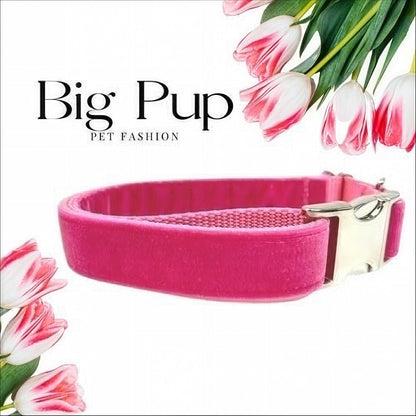 Fall, Hot Pink, Custom, Dog Collar, Girl, Personalized, Engraved, Cute, Designer, Puppy, Cat, Pet, Small, Medium, Large, Buckle