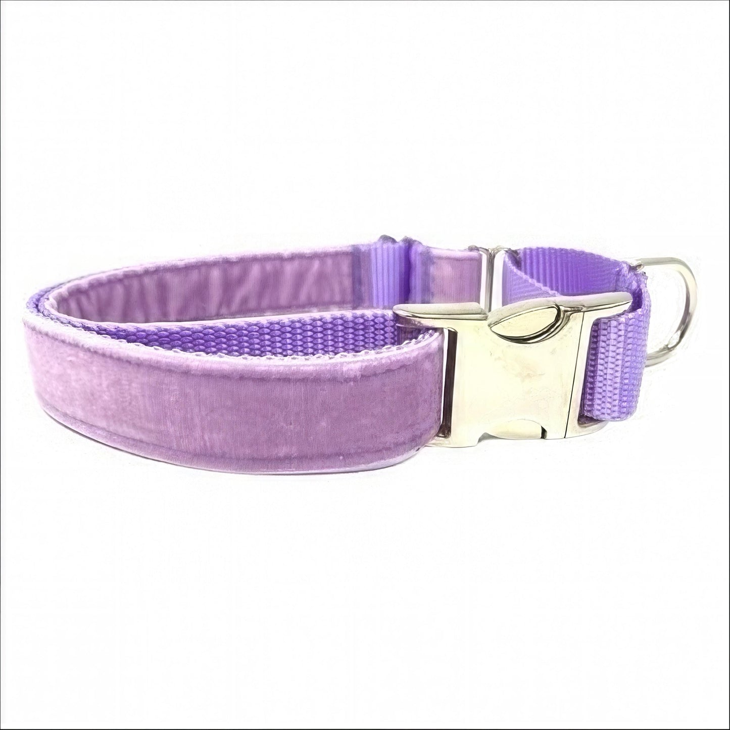 Fall, Lavender, Velvet, Custom, Buckle Martingale Dog Collar, Girl, Boy, Gold, Pink, Personalize, Engraved, Cute, Designer, Puppy, Greyhound
