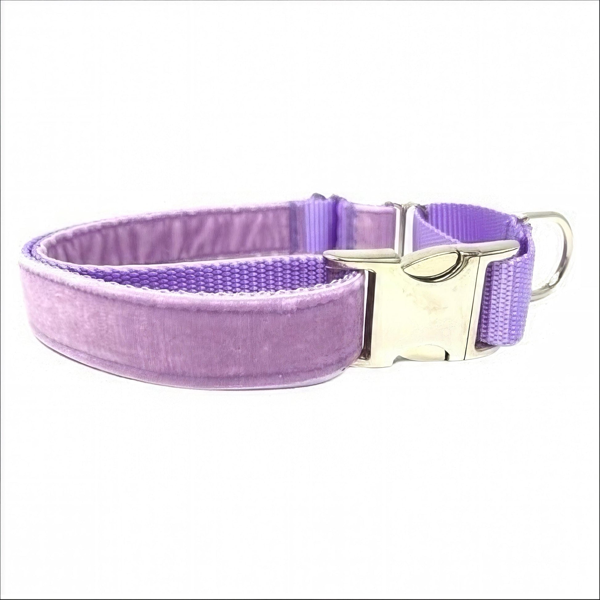 Fall, Lavender, Velvet, Custom, Buckle Martingale Dog Collar, Girl, Boy, Gold, Pink, Personalize, Engraved, Cute, Designer, Puppy, Greyhound
